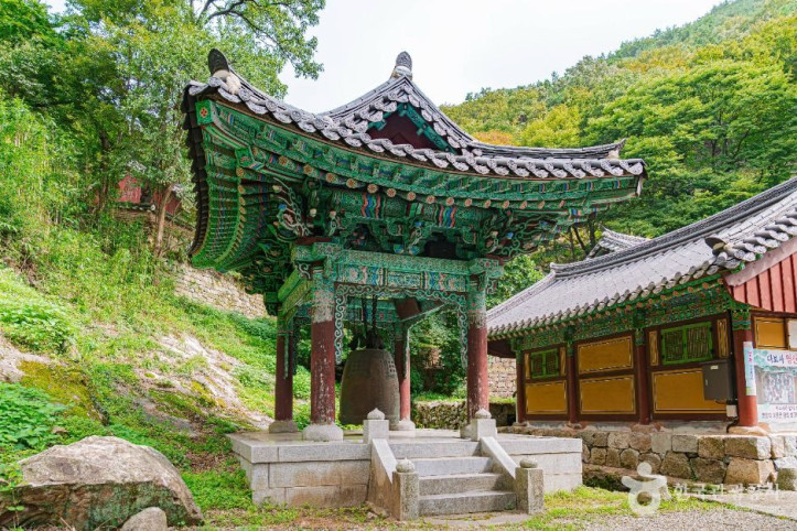 다보사(나주) 여행 추천 - 메고지고