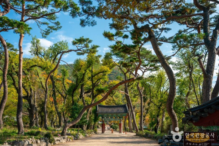 보경사 여행 추천 - 메고지고
