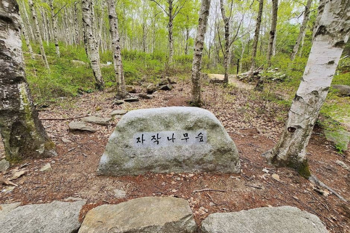 국립김천치유의숲 여행 추천 - 메고지고