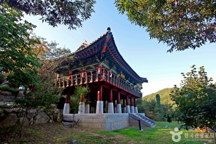 영국사(영동) 여행 추천 - 메고지고