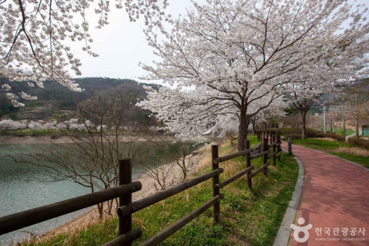 동구리호수공원 여행 추천 - 메고지고