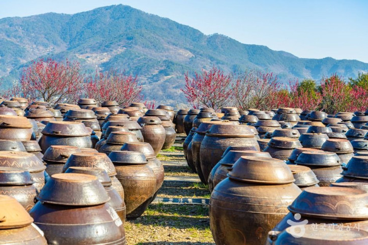 홍쌍리 청매실농원 여행 추천 - 메고지고