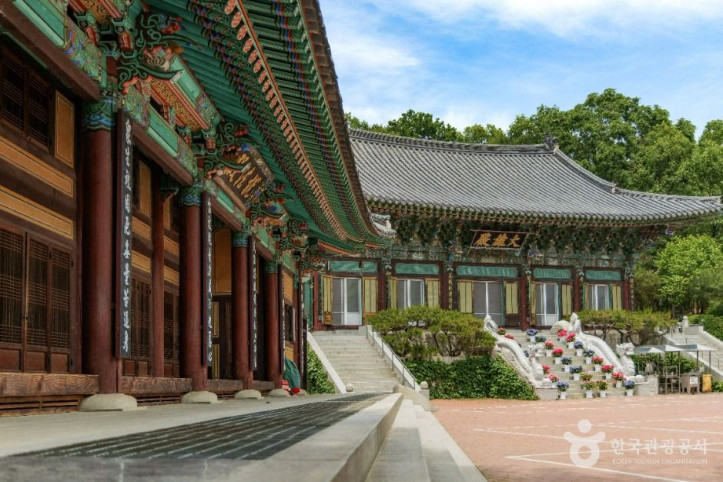 영화사(서울) 여행 추천 - 메고지고