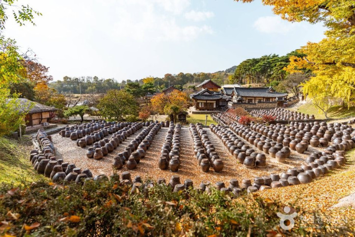 논산명재고택 여행 추천 - 메고지고
