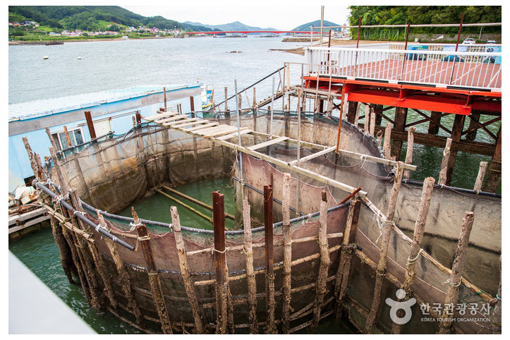 창선교와 원시어업 죽방렴 여행 추천 - 메고지고