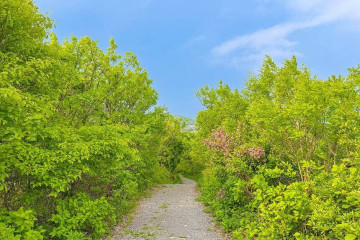 수락리 주상절리 (청송 국가지질공원) 여행 추천 - 메고지고