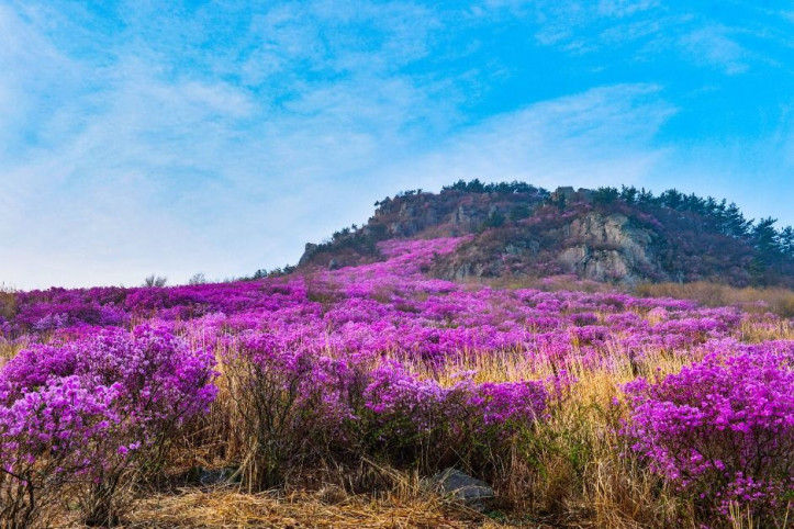 대금산(거제) 여행 추천 - 메고지고