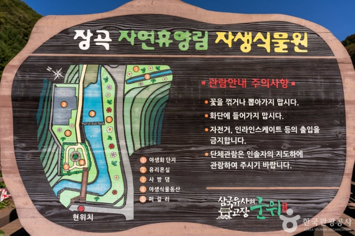 군위 장곡자연휴양림 여행 추천 - 메고지고