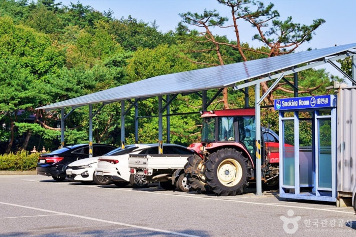 수레의산자연휴양림 여행 추천 - 메고지고