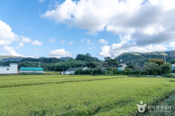 남당리 행복마을 여행 추천 - 메고지고