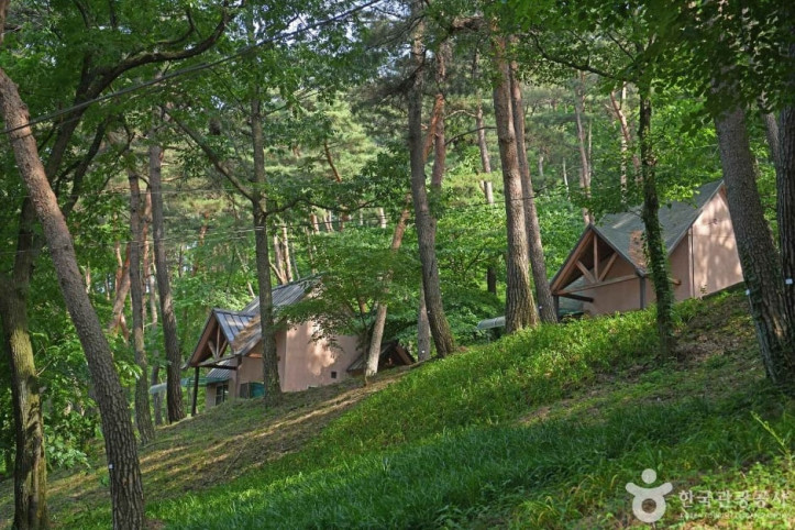 만수산자연휴양림 여행 추천 - 메고지고