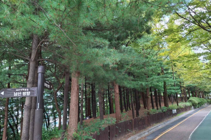 대현산배수지공원·대현산배수지공원 모노레일 여행 추천 - 메고지고