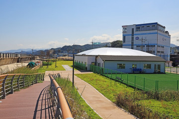 삼척항 대게거리 여행 추천 - 메고지고