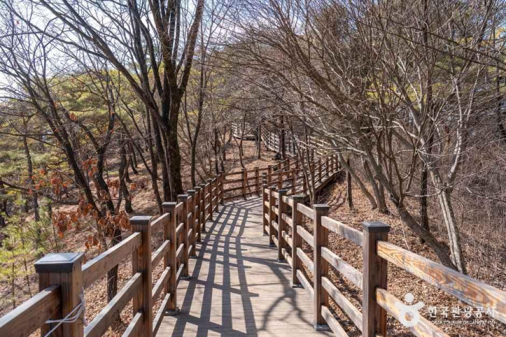 선돌 (강원고생대 국가지질공원) 여행 추천 - 메고지고