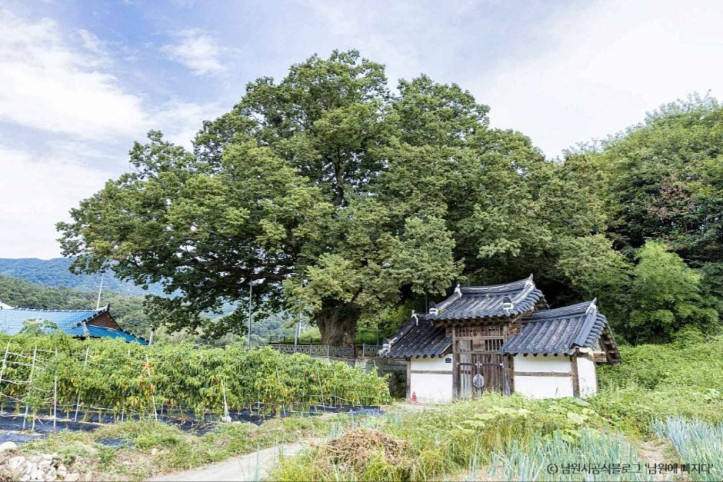 신기마을 여행 추천 - 메고지고