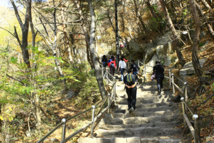 팔공산국립공원(군위군) 여행 추천 - 메고지고