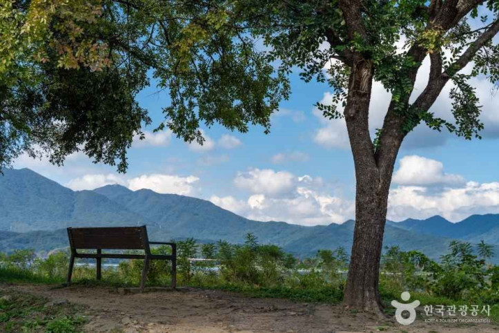 팔당물안개공원 여행 추천 - 메고지고