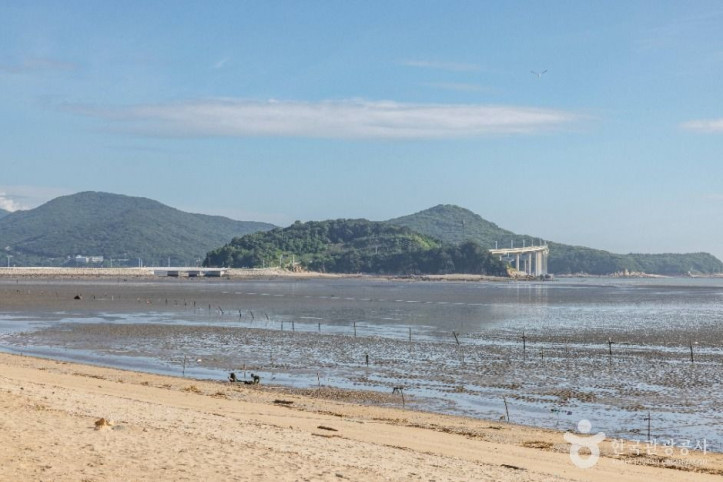 영종도 마시안해변 여행 추천 - 메고지고