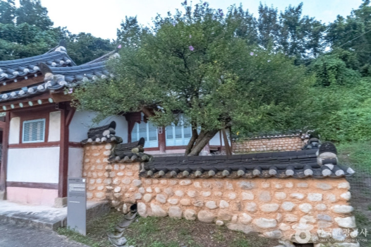 강릉 방동리 무궁화 여행 추천 - 메고지고