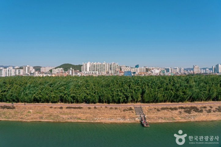 태화강 여행 추천 - 메고지고