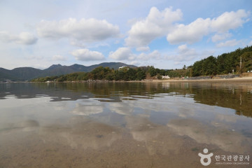 억새군락지 여행 추천 - 메고지고