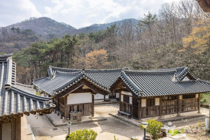 순천전통야생차체험관 여행 추천 - 메고지고