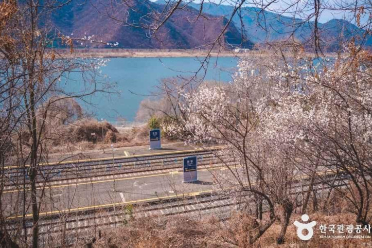 순매원 여행 추천 - 메고지고