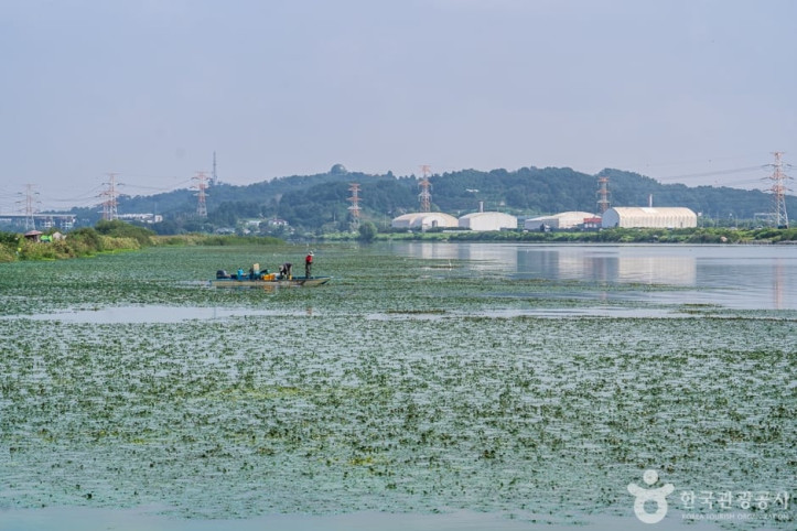 쌀조개섬 여행 추천 - 메고지고