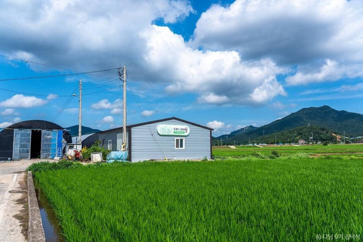 야미야미팜(야미야미팜농업회사법인(주)) 여행 추천 - 메고지고
