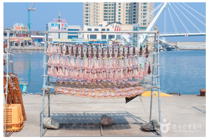 대포항 전망대 여행 추천 - 메고지고