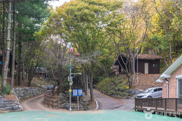 칠갑산자연휴양림 여행 추천 - 메고지고
