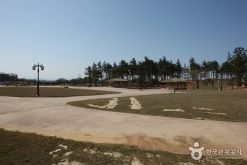 나주 우습제 여행 추천 - 메고지고