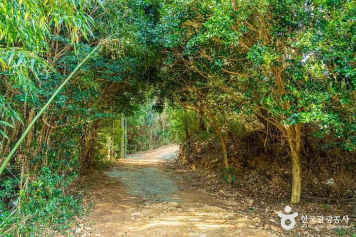 고산 윤선도 문학체험공원 여행 추천 - 메고지고