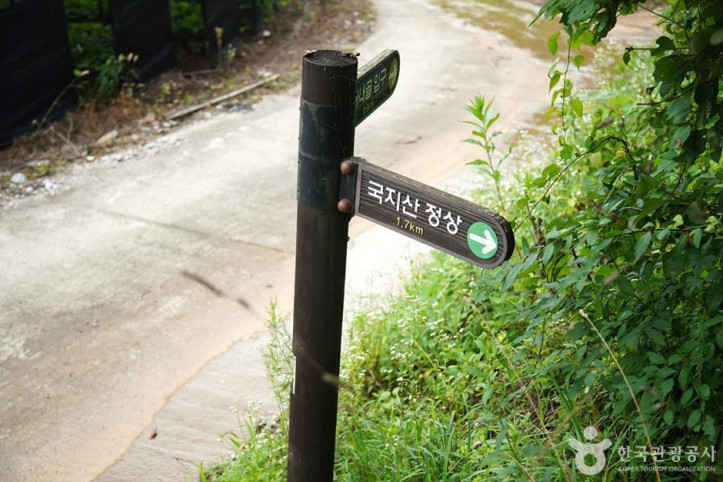 국지산 여행 추천 - 메고지고