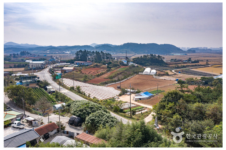 품바발상지 여행 추천 - 메고지고