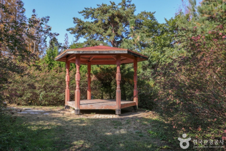 울산테마식물수목원 여행 추천 - 메고지고