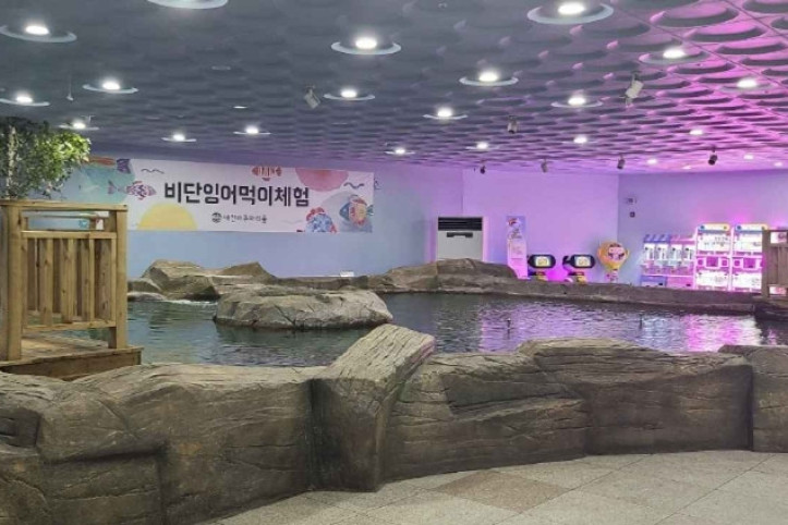대전아쿠아리움 여행 추천 - 메고지고