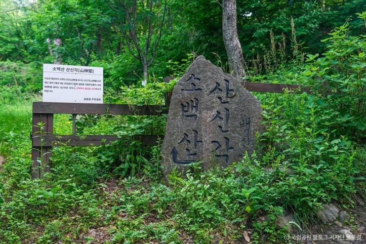 소백산국립공원(경북) 여행 추천 - 메고지고