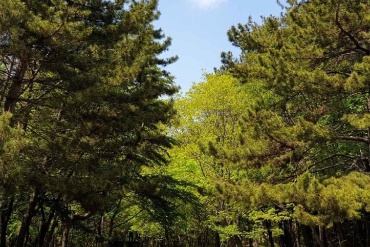 봉암수원지 여행 추천 - 메고지고