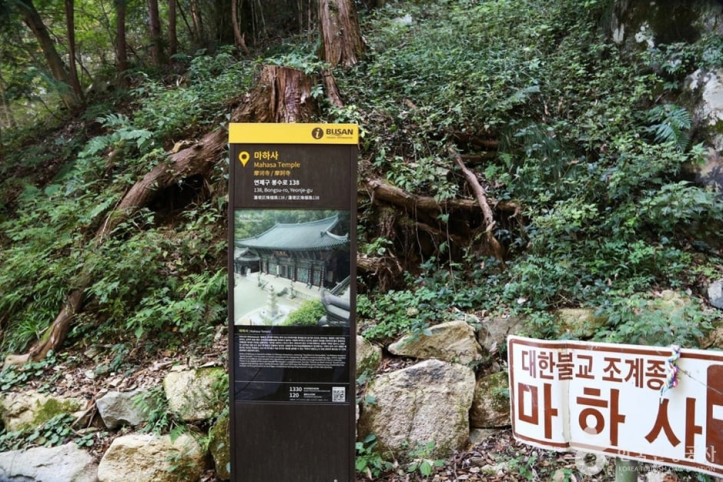 마하사(부산) 여행 추천 - 메고지고