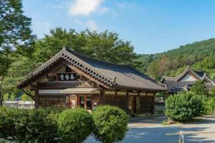 봉선사(남양주) 여행 추천 - 메고지고