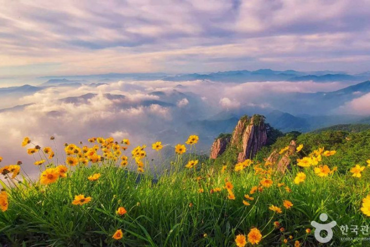 대둔산도립공원(전북) 여행 추천 - 메고지고