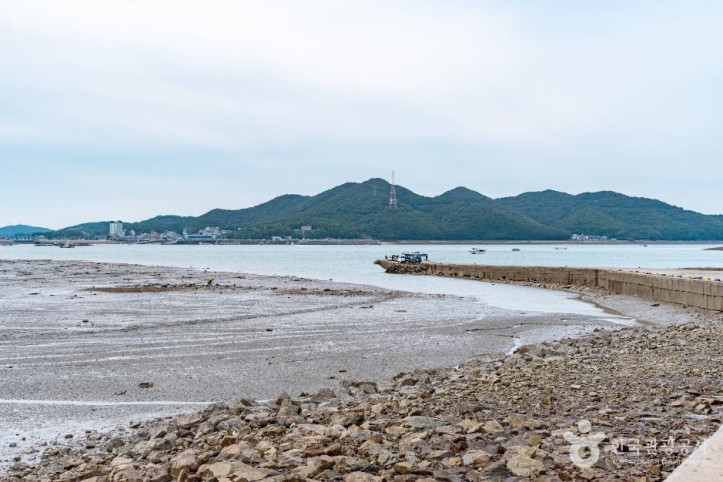 도비도항 여행 추천 - 메고지고
