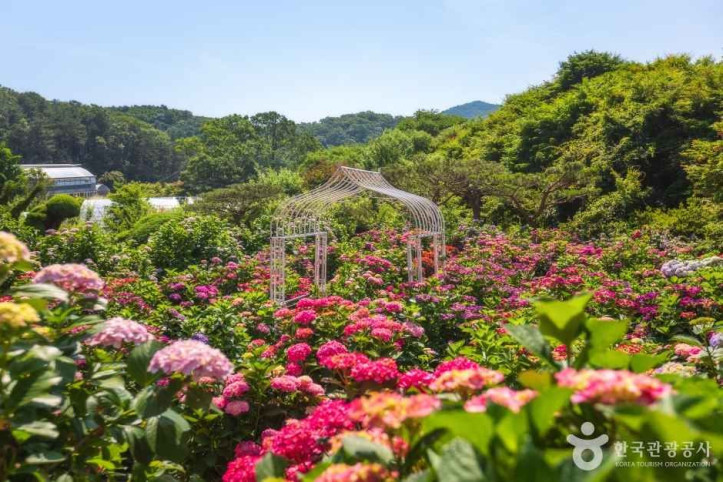 율봄식물원 여행 추천 - 메고지고