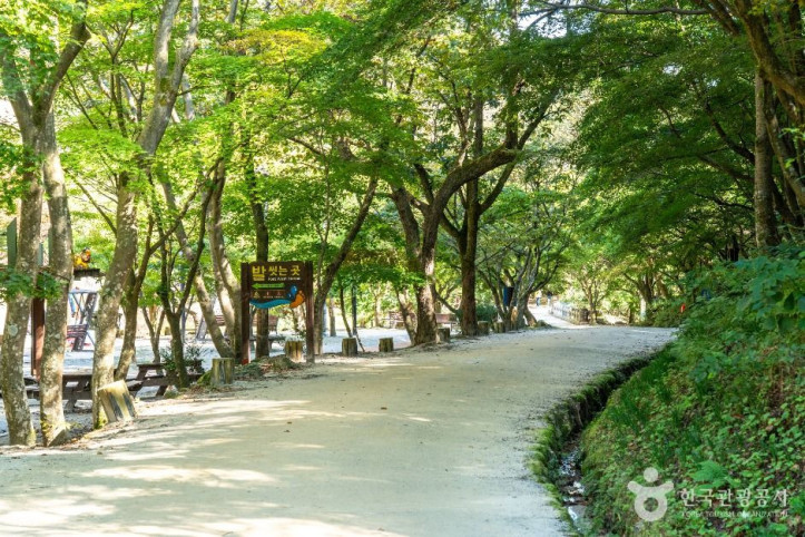 강천산 군립공원 여행 추천 - 메고지고