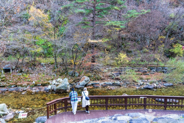 남천계곡 여행 추천 - 메고지고