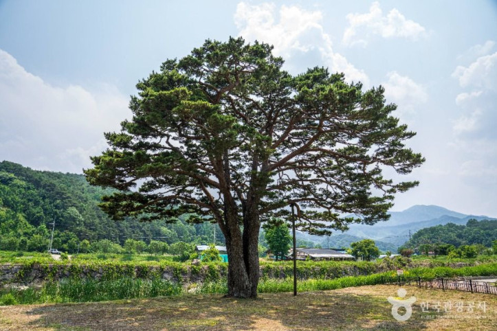 함양 목현리 구송 여행 추천 - 메고지고