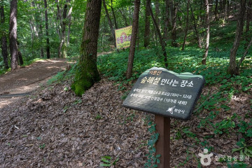 하피랜드 여행 추천 - 메고지고