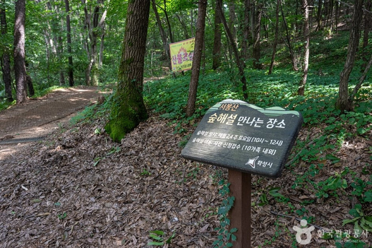 서봉산산림욕장 여행 추천 - 메고지고