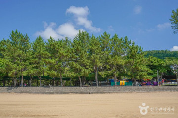 수락도 여행 추천 - 메고지고